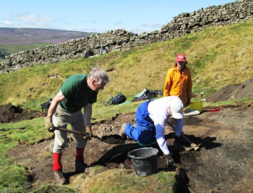 Archaeological Excavation of a Potential Bale Site